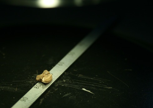 [images1979207_1[5].jpg]