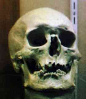 The coroner and Victorian Institute of Forensic Medicine are still trying to determine whether it is authentic. 