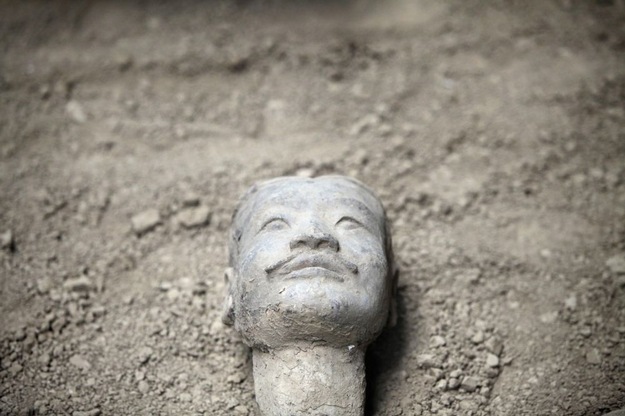 [Terracotta7_721437d[5].jpg]