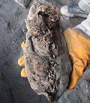 [1006_shoe_reuters_599964t[5].jpg]