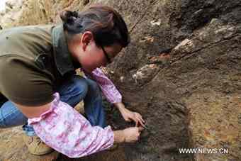 An archeologist works at the relics of a city built in ancient China's Han Dynasty (206 BC-220 AD), at Caoxie Village in Lianzhou Town of Hepu County, southwest China's Guangxi Zhuang Autonomous Region, June 8, 2010.