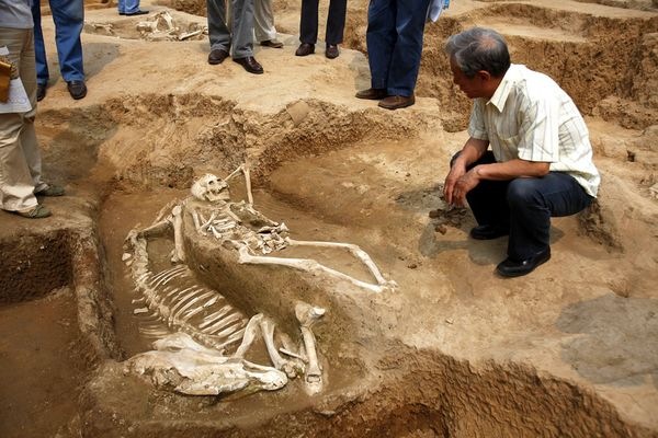 [china-western-zhou-era-skeletons_21478_600x450[5].jpg]