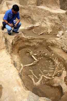 china-western-zhou-era-skeleton