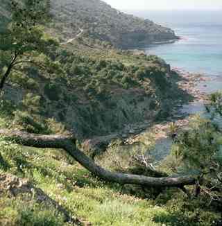 Akamas Peninsula