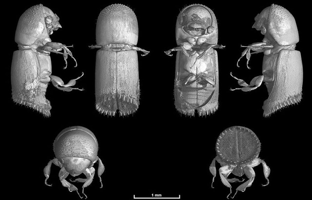 [64-Clipboard-1[5].jpg]