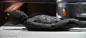 The mummy of an Egyptian man dated around 408 B.C
