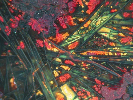 [Colors_of_copper[5].jpg]