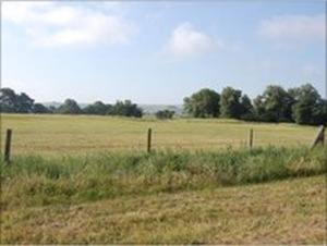 Archaeologists will spend six weeks working on the Wiltshire site 