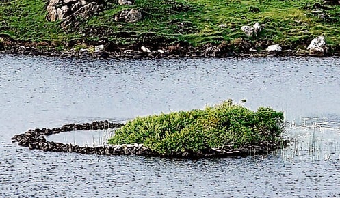 [1224273556107_1[5].jpg]