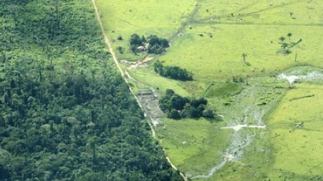 [stagnant-runoff-amazon[5].jpg]