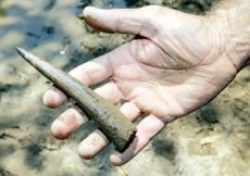 [l5j11a-l5j10adigsite2[6].jpg]