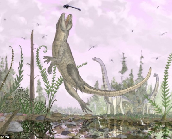 [article-1300524-0AAF591C000005DC-594_634x512[5].jpg]