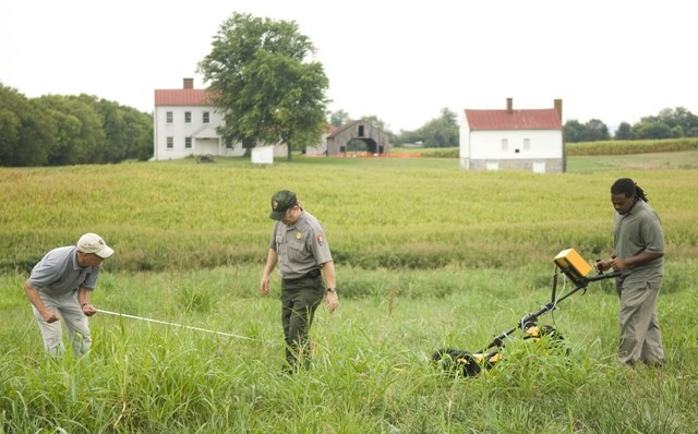 [108755_large[5].jpg]