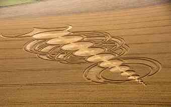 More than half the total number of crop circles observed throughout the world are found in the UK.