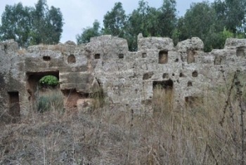 [Building_Casts_Light_on_Phoenician_Religious_Traditions__Syria[5].jpg]