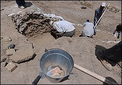 [559942_orig[5].jpg]