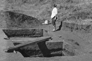 [digg_300x200[5].jpg]