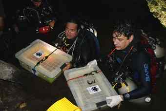 The Young Man of Chan Hol, named after the cenote it was found in, was recovered in a 542 meters long and 8.3 deep cave where stalagmites abound, and is reached after going through flooded, dark and difficult labyrinths. 