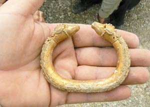 [jobaji_treasure14[5].jpg]