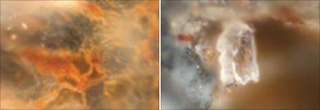 [_48863700_arrows_closeup[5].jpg]