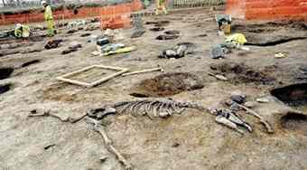 Remains of a horse recovered from the site of the newly discovered Roman industrial area. The horse may have been a ritual sacrifice to bring good luck to the building built over the top, a practice known from the Roman world.