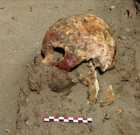 [Mocheskullx-large[5].jpg]