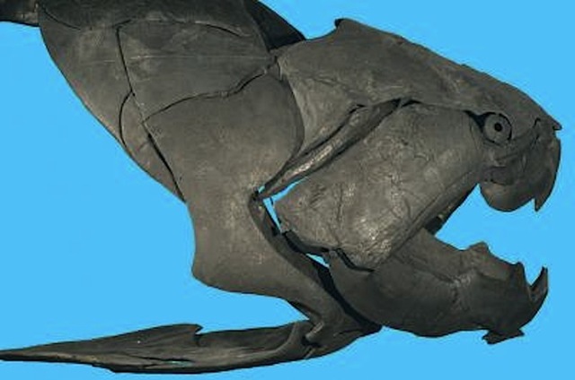 [dunkleosteus[5].jpg]