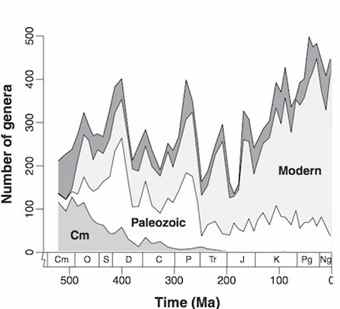 Graph of species diversity among marine animals of Cambrian, Paleozoic and Modern origin