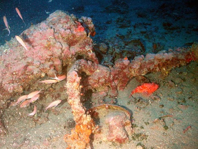 [shipwreck-cannon-100907-02[5].jpg]
