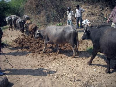 [takinganewlo[5].jpg]