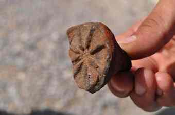 The seal shows that the settlement in İzmir began some 8,500 year ago.