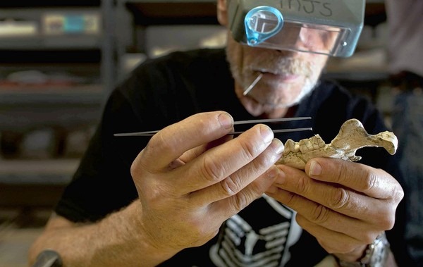 [56271183[5].jpg]
