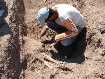 An archaeologists uncovers a body at the Uruk colony. Was this person killed by his own people?                              