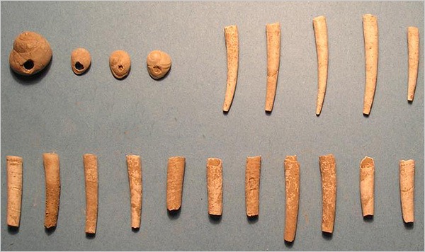[28obneanderthals-articleLarge[5].jpg]