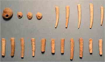 Neanderthals used tools that they had developed on their own. 