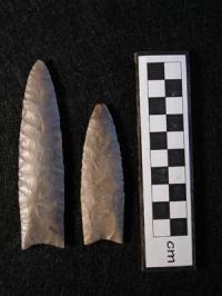 [noevidencefo[5].jpg]