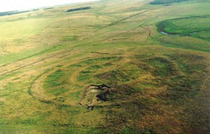 [6a00d834594a1569e200e54f5990a78834-500wi[5].jpg]