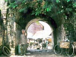 [images1867054_1[5].jpg]