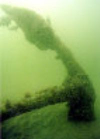 An anchor from the shipwreck presumed to be Queen Anne's Revenge, Blackbeard's flagship boat, began the conservation process on Sept. 22.