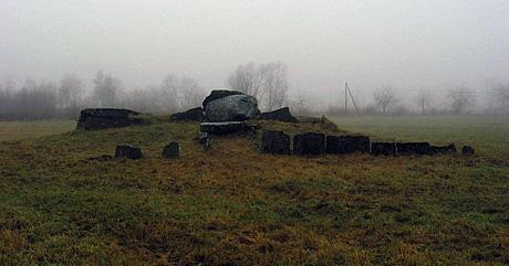 [101018074542-large[5].jpg]