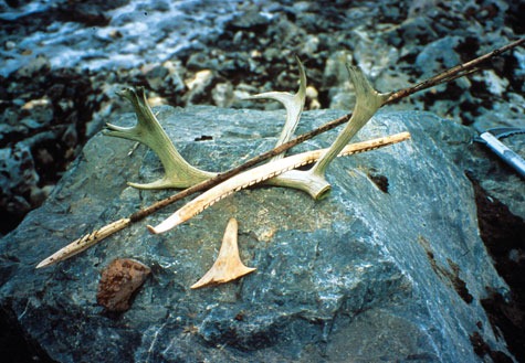 [mmw_artifacts_1110[5].jpg]