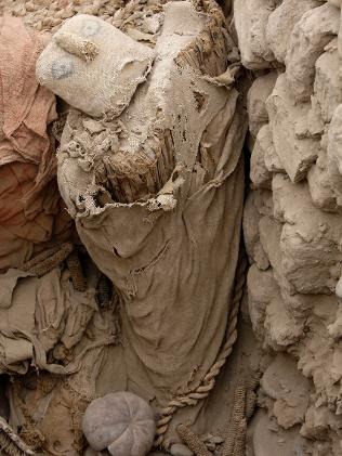 [625170-mummies[5].jpg]