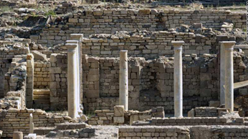 View of the columns.