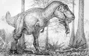 T. rex isn't the only large carnivore to be a cannibal. Lions, polar bears and hyenas do it, too.