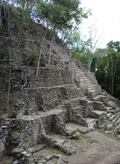 The Mirador Basin contains four of the largest and oldest Maya cities in existence and is known as "the Cradle of Mayan Civilization".  Now abandoned and buried beneath 2,000 years of jungle growth, the Mayan cities are threatened by looting and deforestation.