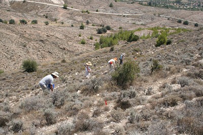 [3-archaeologis[5].jpg]