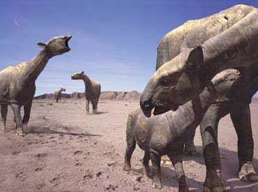 [Indricotherium2[5].jpg]