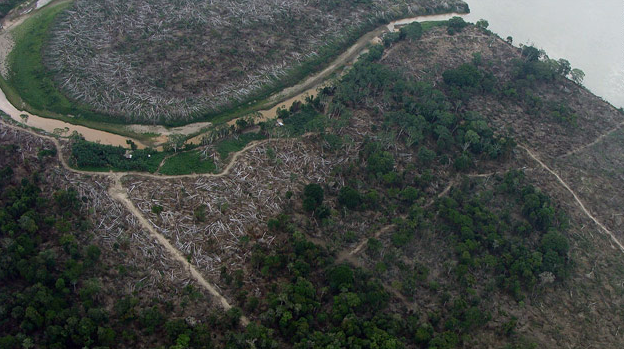 [Can Brazil continue to slow deforestation in the Amazon- - CNN.com_1290683107552[5].png]