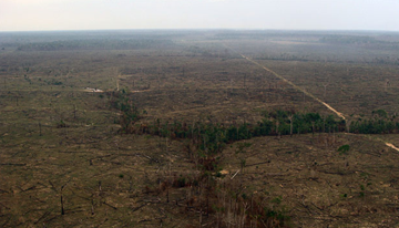 A changing landscape.
