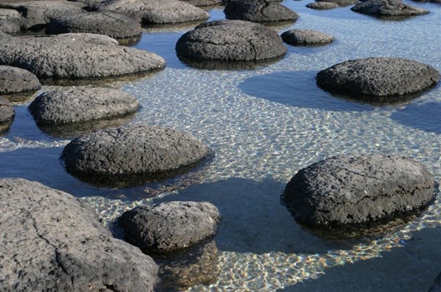 [r622774_4192263[5].jpg]